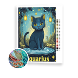 Aquarius