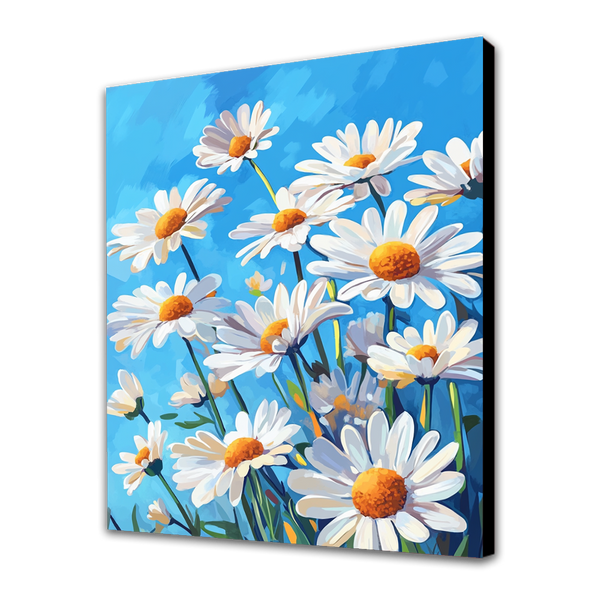 Daisies in the Summer Sky