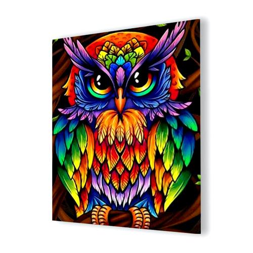 Colorful Owl Diamond Painting - 1