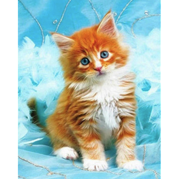 Diamond Painting Pretty kitten