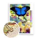 Diamond Painting Butterfly And Orchid