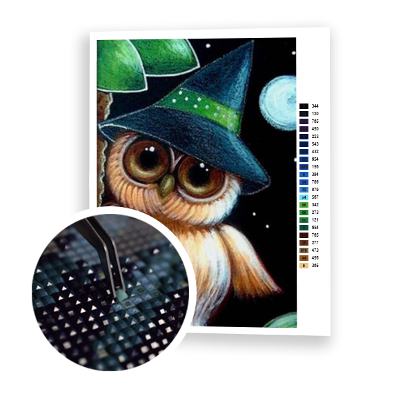 Diamond Painting Owl Wearing Hat