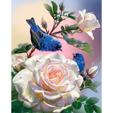 Diamond Painting Birds on a rose