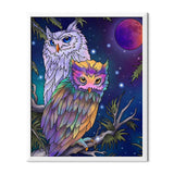 Two Owls Diamond Painting - 1