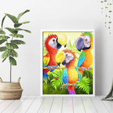 Cartoon Parrots Diamond Painting - 3