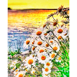 Diamond Painting Chamomile by the lake