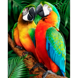 Diamond Painting Parrot love