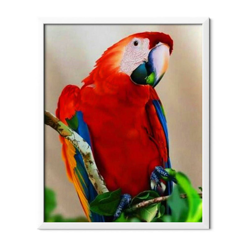 Red Parrot Diamond Painting - 1