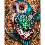 Diamond Painting Multicolor Owl