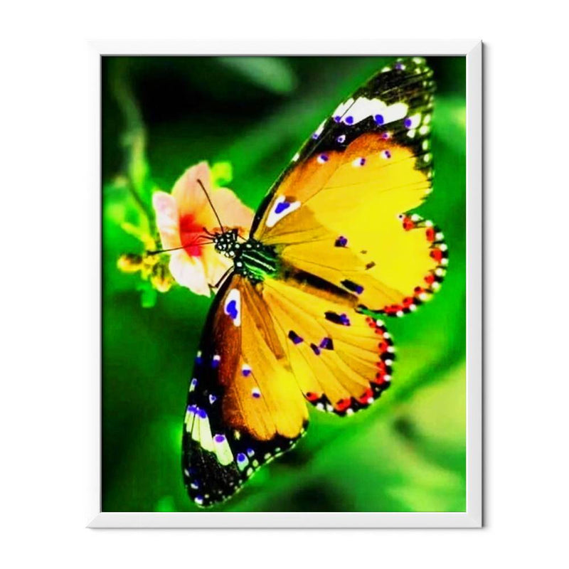 Yellow Butterfly Diamond Painting - 1