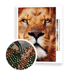 Diamond Painting Magnificent Lion
