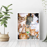 Surprised Cats Diamond Painting - 3