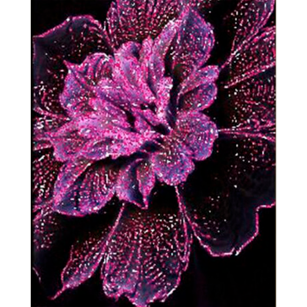 Diamond Painting Shining flower