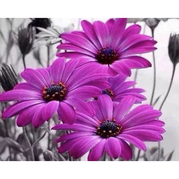 Diamond Painting Purple flowers
