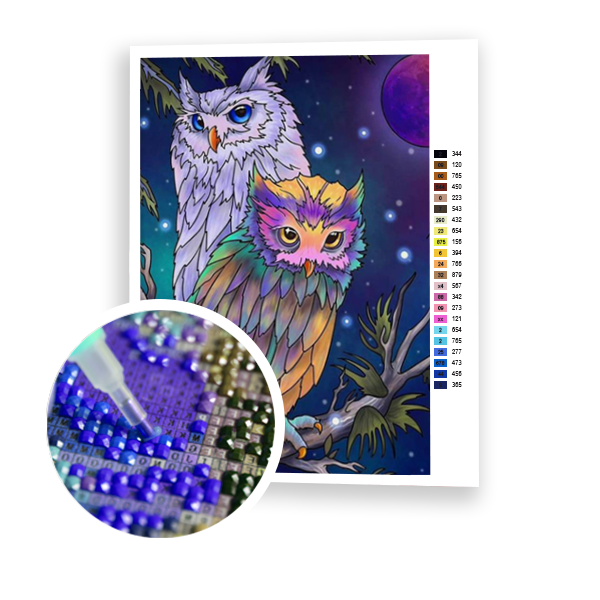 Diamond Painting Two Owls