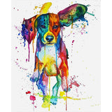 Beagle Colors
