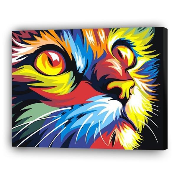 Multicolored cat