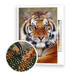 Diamond Painting Beautiful Tiger